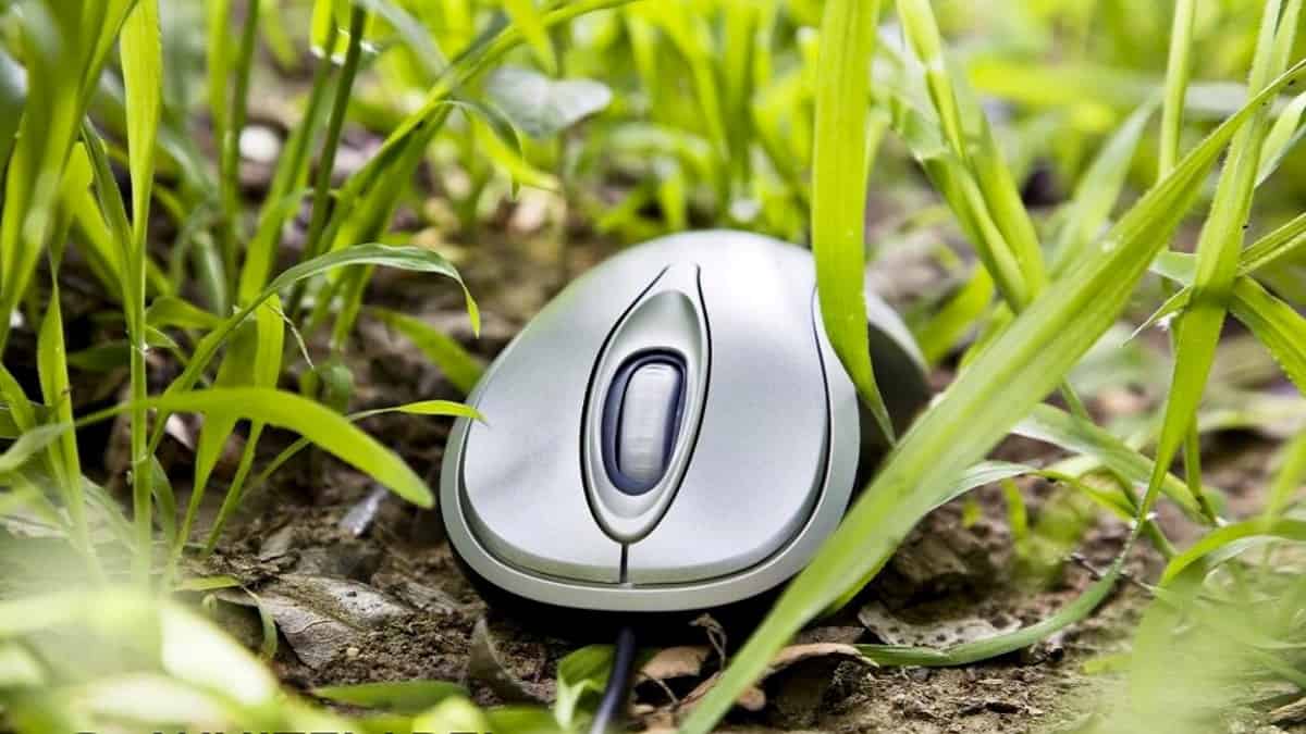 رایانش سبز چیست؟